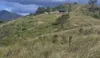 Lot 3 Diggings Rd, Glastonbury, Qld 4570-Image