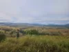 Lot 3 Diggings Rd, Glastonbury, Qld 4570-Image