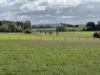 Lot 3 Grahams Road, Lancefield, Vic 3435
