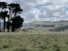 Lot 3 Grahams Road, Lancefield, Vic 3435-Image