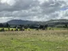 Lot 3 Grahams Road, Lancefield, Vic 3435-Image
