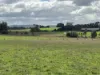 Lot 3 Grahams Road, Lancefield, Vic 3435-Image
