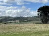 Lot 3 Grahams Road, Lancefield, Vic 3435-Image