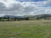 Lot 3 Grahams Road, Lancefield, Vic 3435-Image