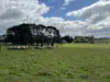 Lot 3 Grahams Road, Lancefield, Vic 3435-Image