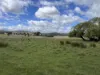Lot 3 Grahams Road, Lancefield, Vic 3435-Image