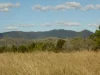 Lot 3, North Dallarnil Road, Dallarnil, Qld 4621-Image