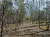 Lot 3, Short Street, Pontypool, Tas 7190-Image