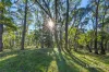 Lot 3 Silverwattle, Invermay, Vic 3352
