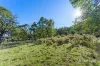 Lot 3 Silverwattle, Invermay, Vic 3352-Image