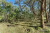 Lot 3 Silverwattle, Invermay, Vic 3352-Image