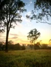 Lot 3, Walters Road, Booyal, Qld 4671-Image