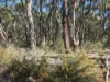 Lot 30, 3 Dufty Place, Mount Barker, WA 6324