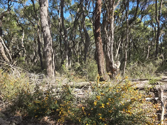 Lot 30, 3 Dufty Place, Mount Barker, WA 6324