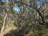 Lot 30, 3 Dufty Place, Mount Barker, WA 6324-Image