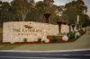 Lot 301, 3 Maison Dieu Road, Singleton, NSW 2330-Image