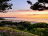 Lot 301 Williss Drive, Normanville, SA 5204-Image