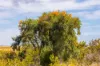 Lot 304, PINDARI PLACE, Karakin, WA 6044-Image