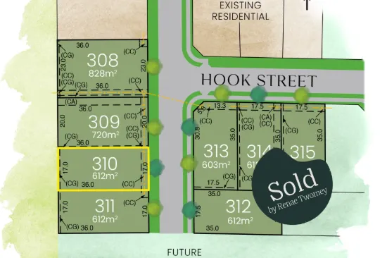 Lot 310, Maison Dieu Road, Singleton, NSW 2330