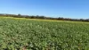 Lot 32 Rumble Road, Kokeby, WA 6304-Image
