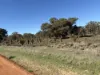 Lot 32 Rumble Road, Kokeby, WA 6304-Image