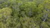 Lot 33, Bootmaker Drive, Round Hill, Qld 4677-Image