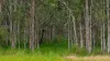 Lot 33, Bootmaker Drive, Round Hill, Qld 4677-Image