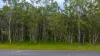 Lot 33, Bootmaker Drive, Round Hill, Qld 4677-Image