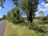Lot 33, Duingal Road, Duingal, Qld 4671-Image