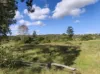 Lot 33, Duingal Road, Duingal, Qld 4671-Image