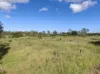 Lot 33, Duingal Road, Duingal, Qld 4671-Image