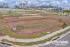 Lot 330, Dalton Way, Deebing Heights, Qld 4306-Image