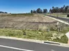 Lot 330, Ravensfield, Farley, NSW 2320-Image