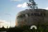 Lot 336, 16 Fig Tree Esplanade, Morayfield, Qld 4506-Image