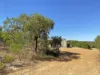 Lot 35 River Loop, Jurien Bay, WA 6516-Image
