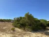 Lot 35 River Loop, Jurien Bay, WA 6516-Image