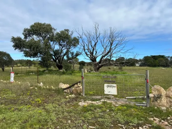 Lot 35, Second Street, Sheringa, SA 5607