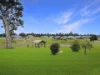 Lot 36, 65 Whitworth Drive, Nicholson, Vic 3882-Image