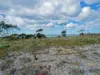 Lot, 36 Wrinklers Drive, Scamander, Tas 7215-Image