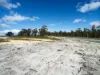 Lot, 36 Wrinklers Drive, Scamander, Tas 7215-Image