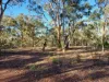 LOT 39 Laterite Way, Coondle, WA 6566-Image