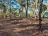 LOT 39 Laterite Way, Coondle, WA 6566-Image