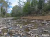 Lot 4, 524 Rosedale Road, Bicheno, Tas 7215-Image