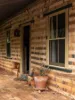 Lot 4, 54 Donovan Road, Cabarlah, Qld 4352-Image