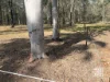 Lot 4, 67 CRUMPTON DRIVE, BLACKBUTT, Blackbutt, Qld 4314-Image