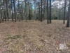 Lot 4, 67 CRUMPTON DRIVE, BLACKBUTT, Blackbutt, Qld 4314-Image