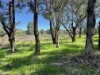 Lot 4, 7-9B Springflat Drive, Gundagai, NSW 2722-Image