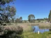 Lot 4, 7-9B Springflat Drive, Gundagai, NSW 2722-Image