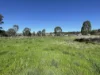 Lot 4, 7-9B Springflat Drive, Gundagai, NSW 2722-Image