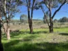 Lot 4, 7-9B Springflat Drive, Gundagai, NSW 2722-Image